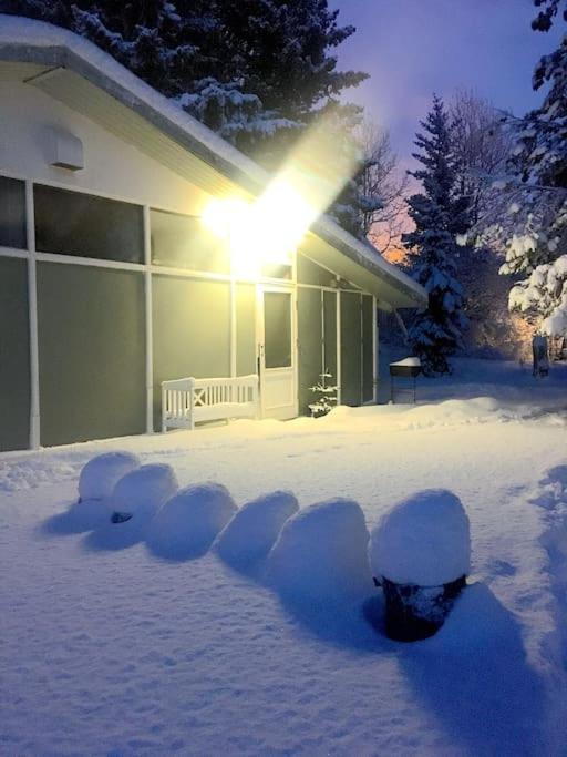 The House Next To The Hot Spring Hotel Selfoss Exterior photo